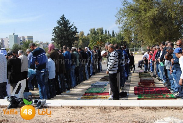 istesqa2 ramla 0201 (13).JPG